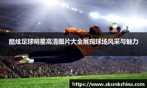 米兰milan官方网站