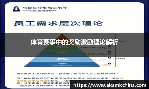 体育赛事中的奖励激励理论解析